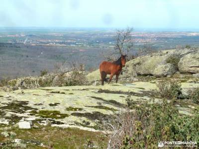 La Chorranca-Cueva Monje-Cerro del Puerco;madrid sierra norte granada alpujarras